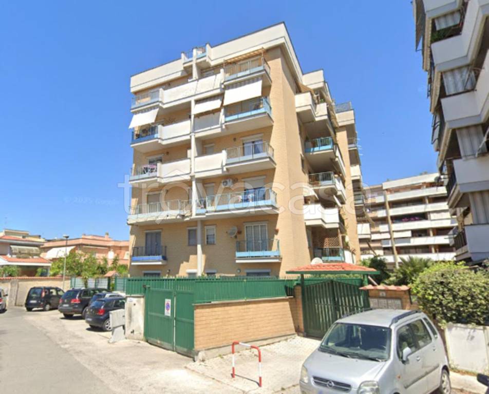 appartamento in vendita a Nettuno