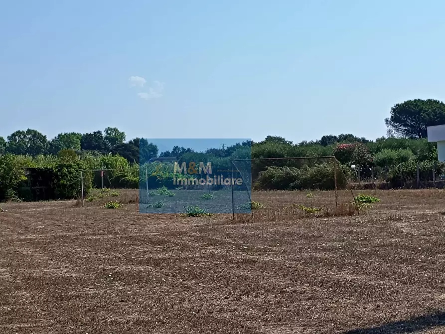 casa indipendente in vendita a Nettuno
