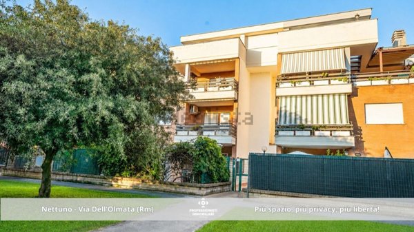 appartamento in vendita a Nettuno