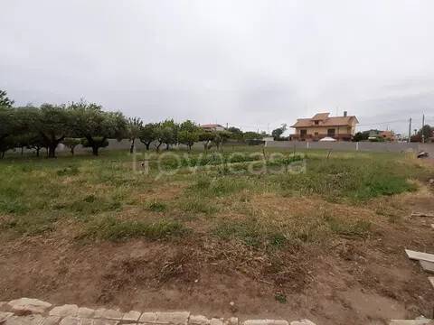 terreno agricolo in vendita a Nettuno