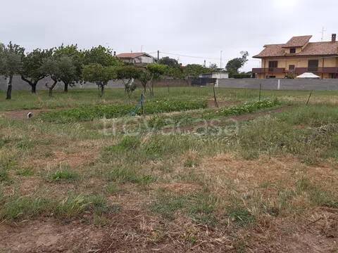 terreno agricolo in vendita a Nettuno