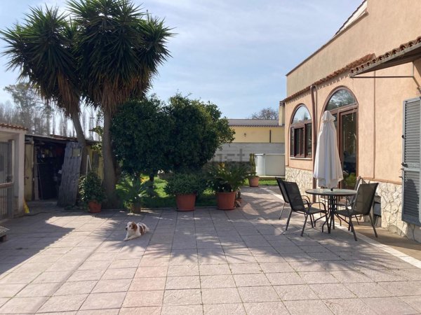 esavano in vendita a Nettuno