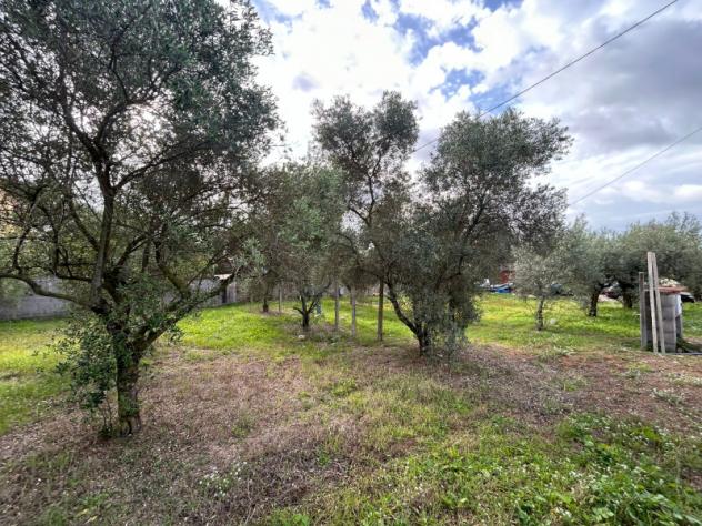 terreno agricolo in vendita a Nettuno