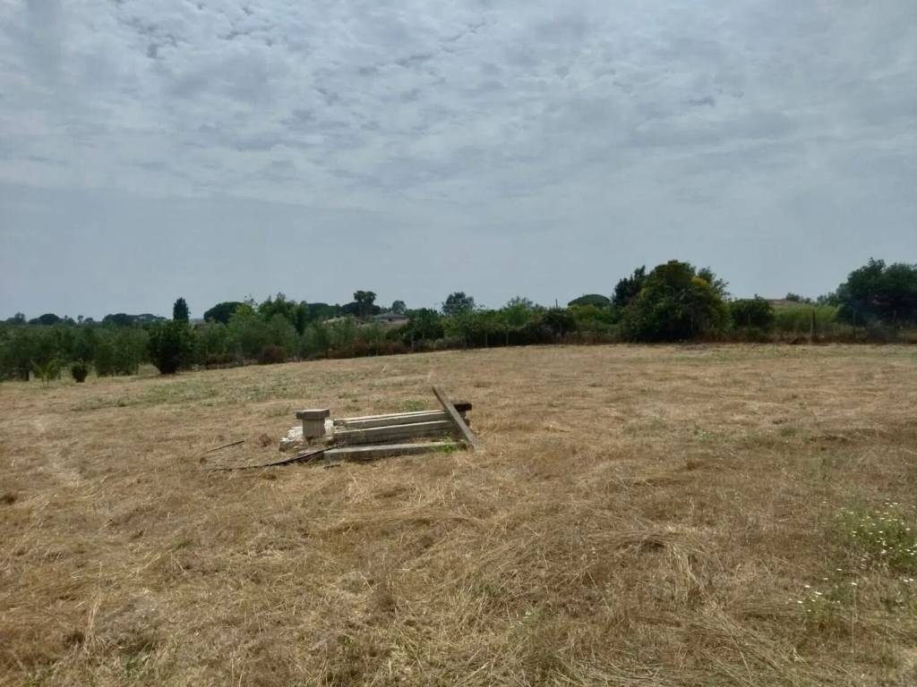 terreno agricolo in vendita a Nettuno