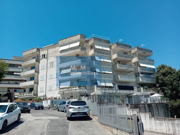immagine annuncio 0 di 13