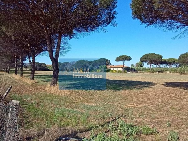 terreno agricolo in vendita a Nettuno