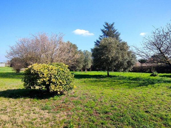 terreno agricolo in vendita a Nettuno in zona Padiglione