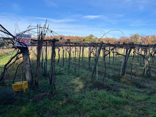 terreno in vendita a Nettuno