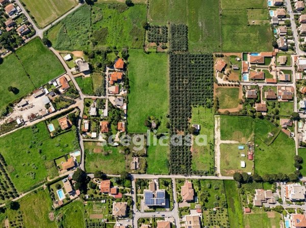 terreno in vendita a Nettuno