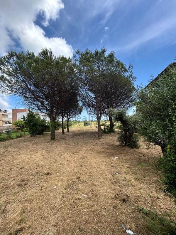 terreno in vendita a Nettuno