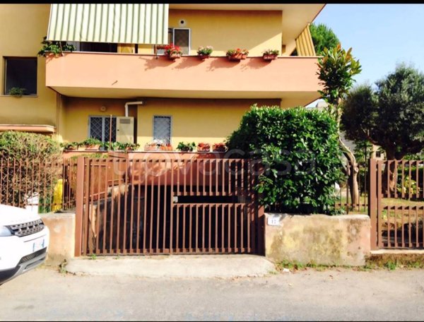 box auto in vendita a Nettuno