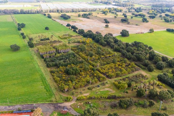 terreno agricolo in vendita a Nettuno in zona Padiglione