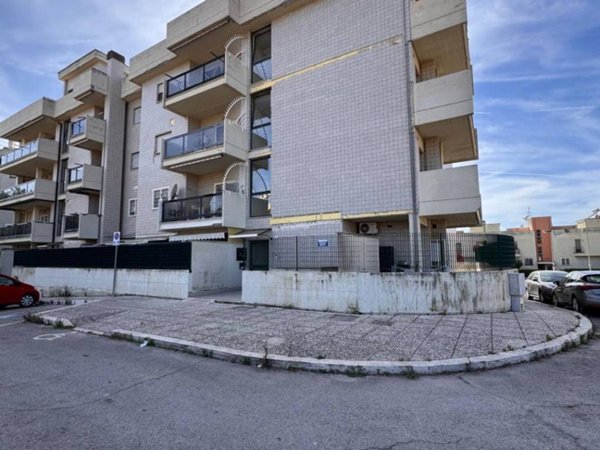 appartamento in vendita a Nettuno