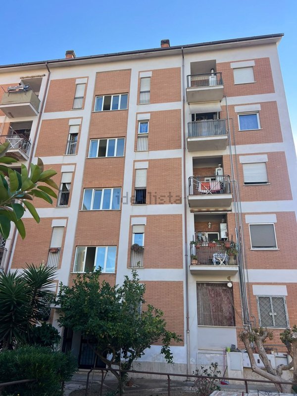 appartamento in vendita a Nettuno