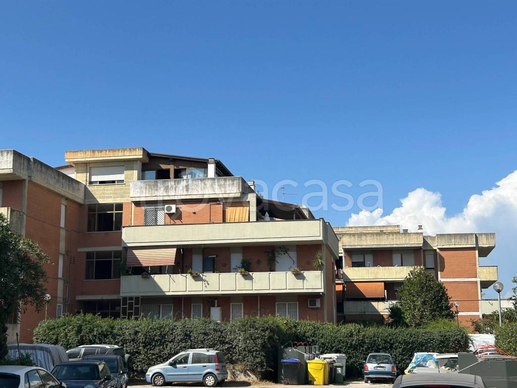appartamento in vendita a Nettuno