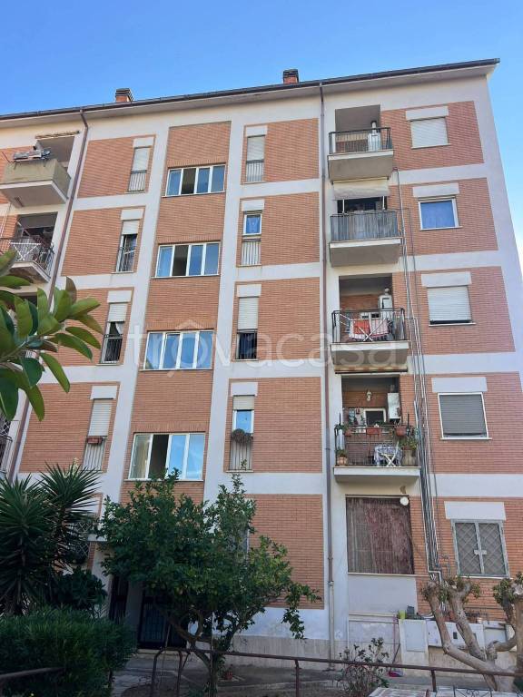 appartamento in vendita a Nettuno