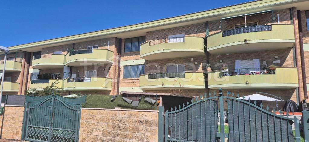 appartamento in vendita a Nettuno in zona Padiglione