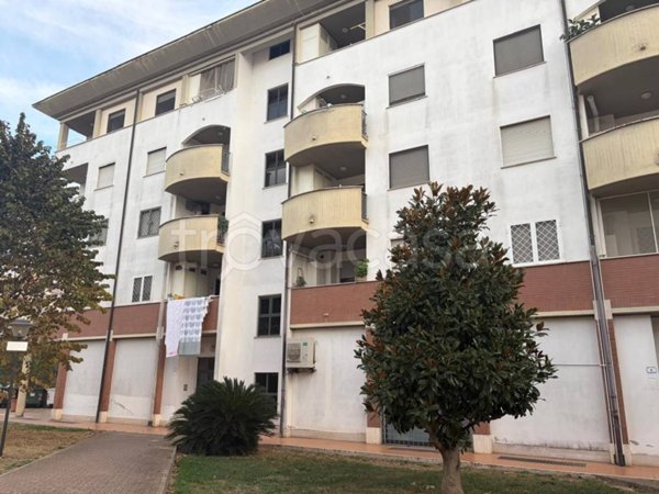 appartamento in vendita a Nettuno