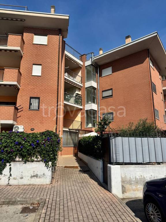 appartamento in vendita a Nettuno