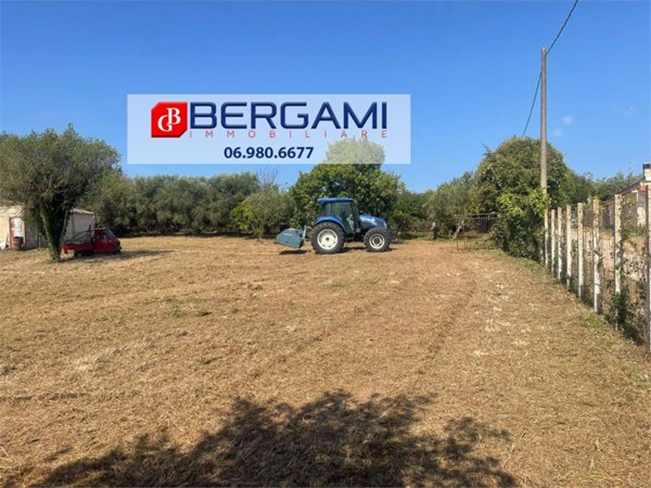 terreno agricolo in vendita a Nettuno