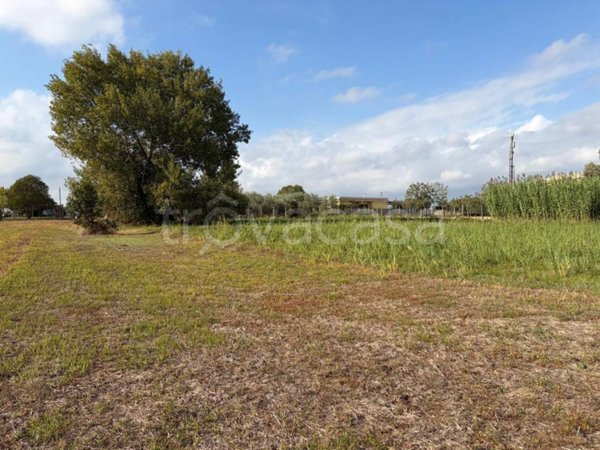 terreno in vendita a Nettuno in zona Padiglione