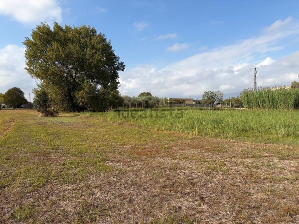 terreno in vendita a Nettuno