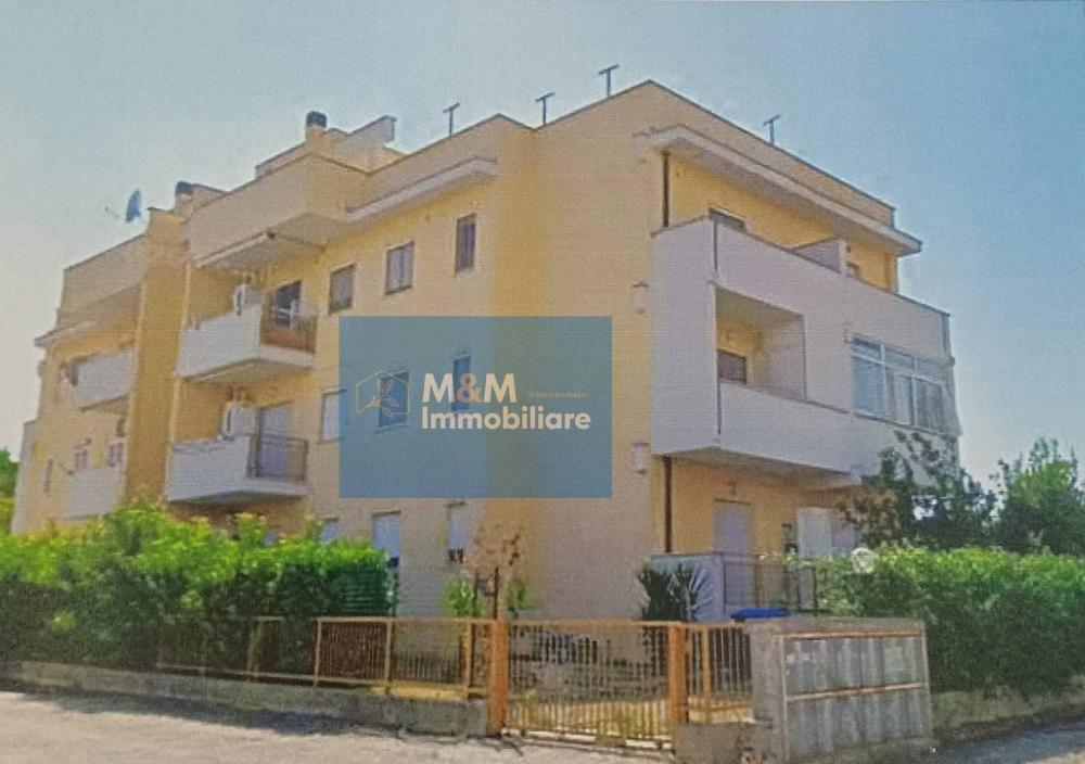 appartamento in vendita a Nettuno