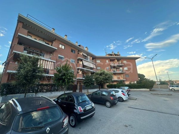 appartamento in vendita a Nettuno