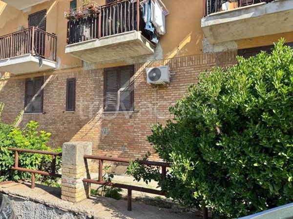 appartamento in vendita a Nettuno