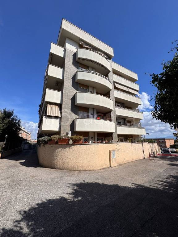 appartamento in vendita a Nettuno