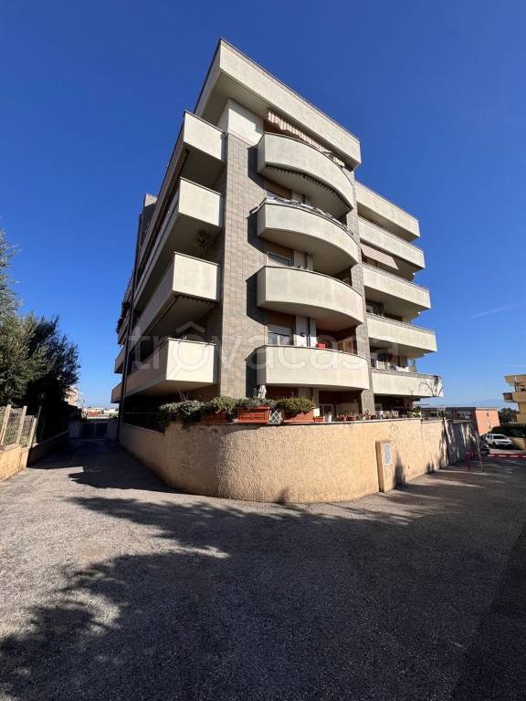 appartamento in vendita a Nettuno