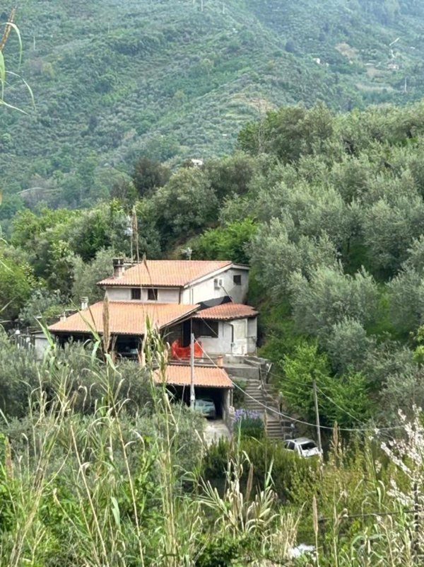 casa indipendente in vendita ad Olevano Romano