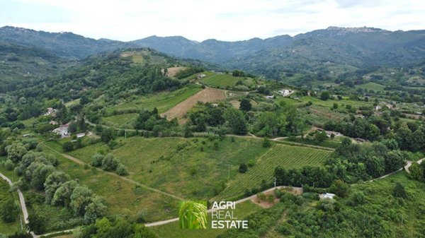 terreno agricolo in vendita ad Olevano Romano