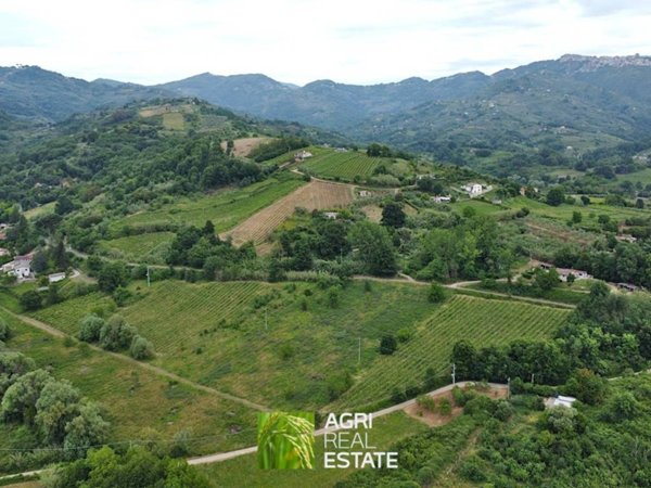 terreno agricolo in vendita ad Olevano Romano