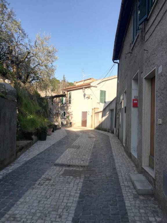 appartamento in vendita ad Olevano Romano
