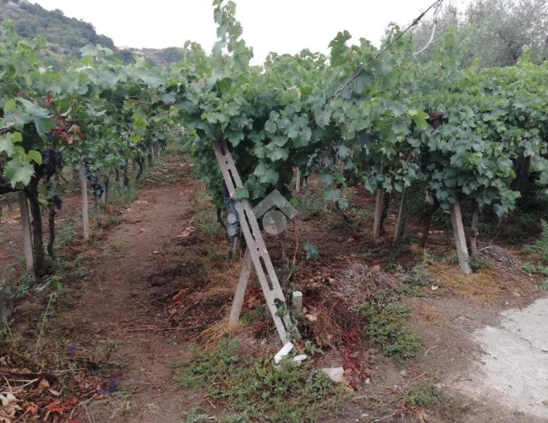 casa indipendente in vendita ad Olevano Romano