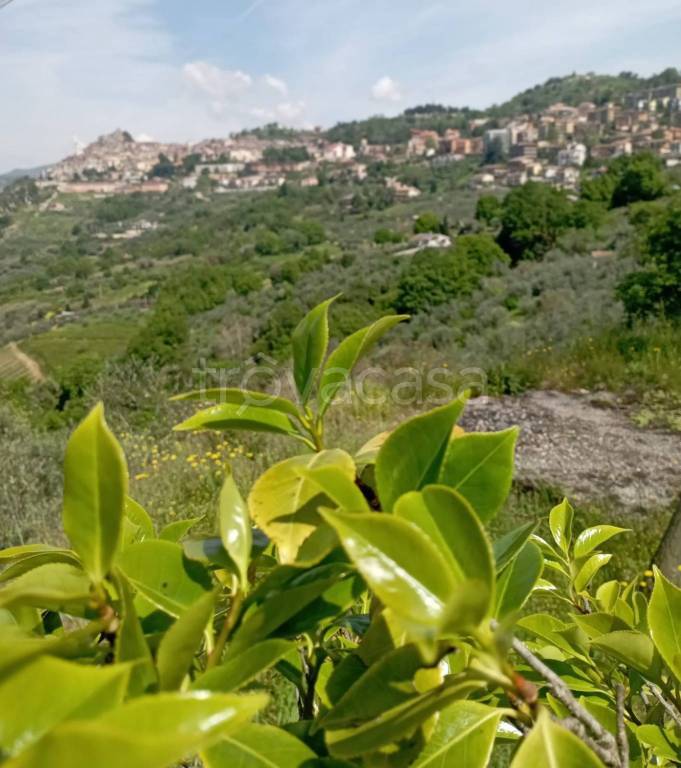 terreno agricolo in vendita ad Olevano Romano