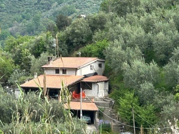casa indipendente in vendita ad Olevano Romano