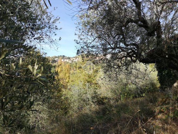 appartamento in vendita ad Olevano Romano