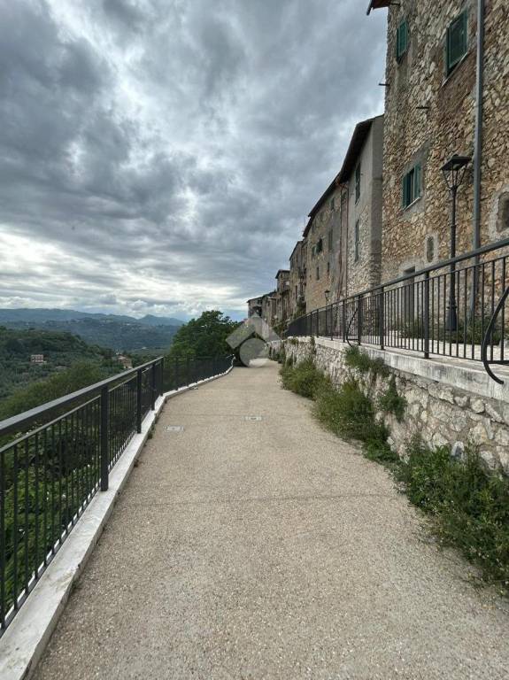 appartamento in vendita ad Olevano Romano