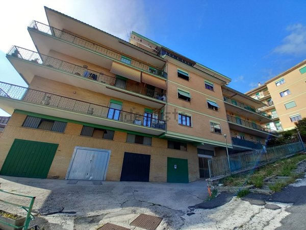 appartamento in vendita ad Olevano Romano