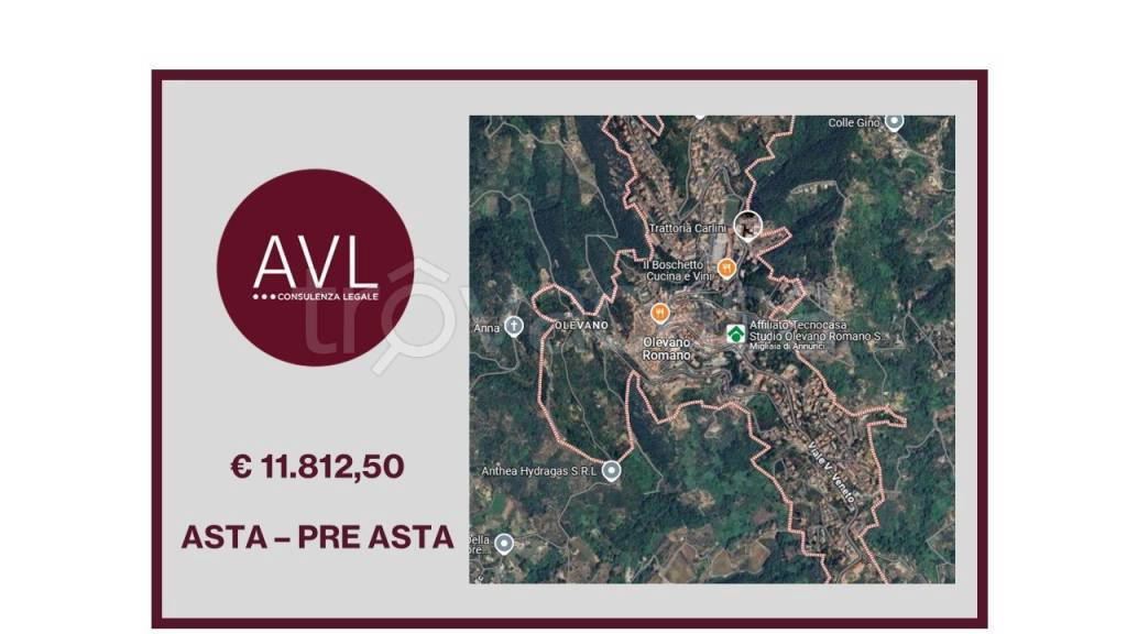 appartamento in vendita ad Olevano Romano