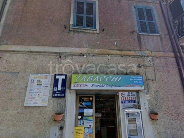 appartamento in vendita ad Olevano Romano