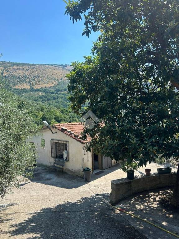 appartamento in vendita ad Olevano Romano