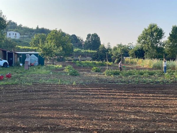 terreno agricolo in vendita ad Olevano Romano