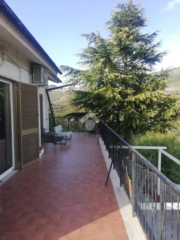 immagine annuncio 0 di 15