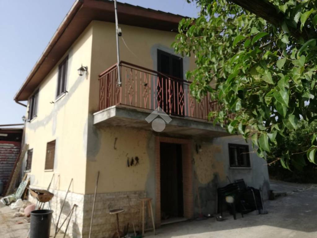 immagine annuncio 0 di 15