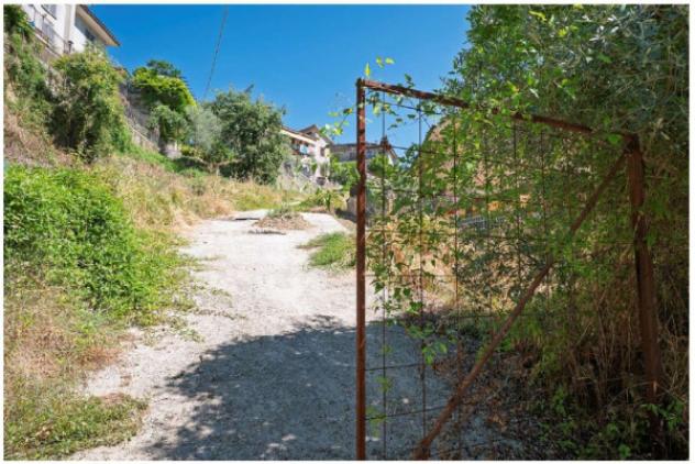 terreno agricolo in vendita ad Olevano Romano