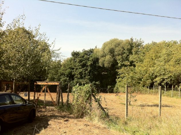 terreno agricolo in vendita ad Olevano Romano