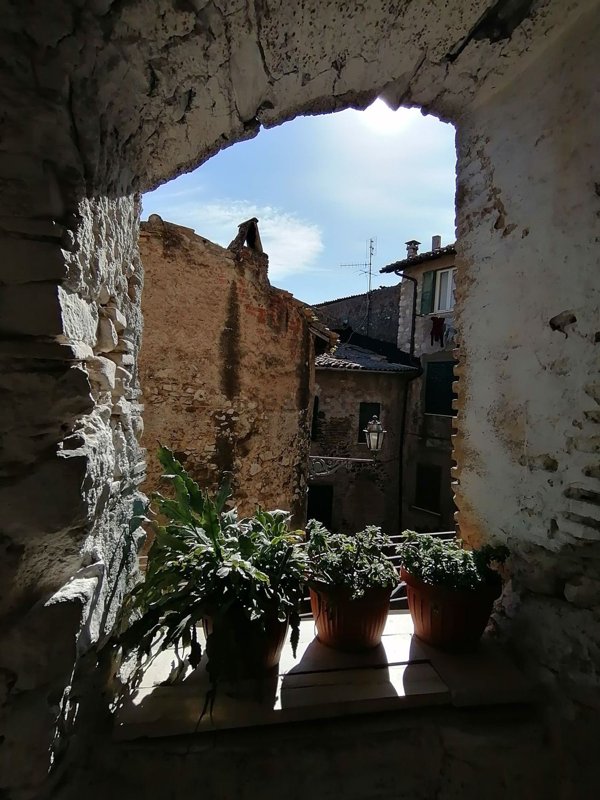 appartamento in vendita ad Olevano Romano